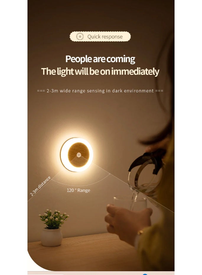 Induction Coin Lamp Usb Charging Motion sensor Smart Wardrobe closet Light wood (Warm White) - Image 3