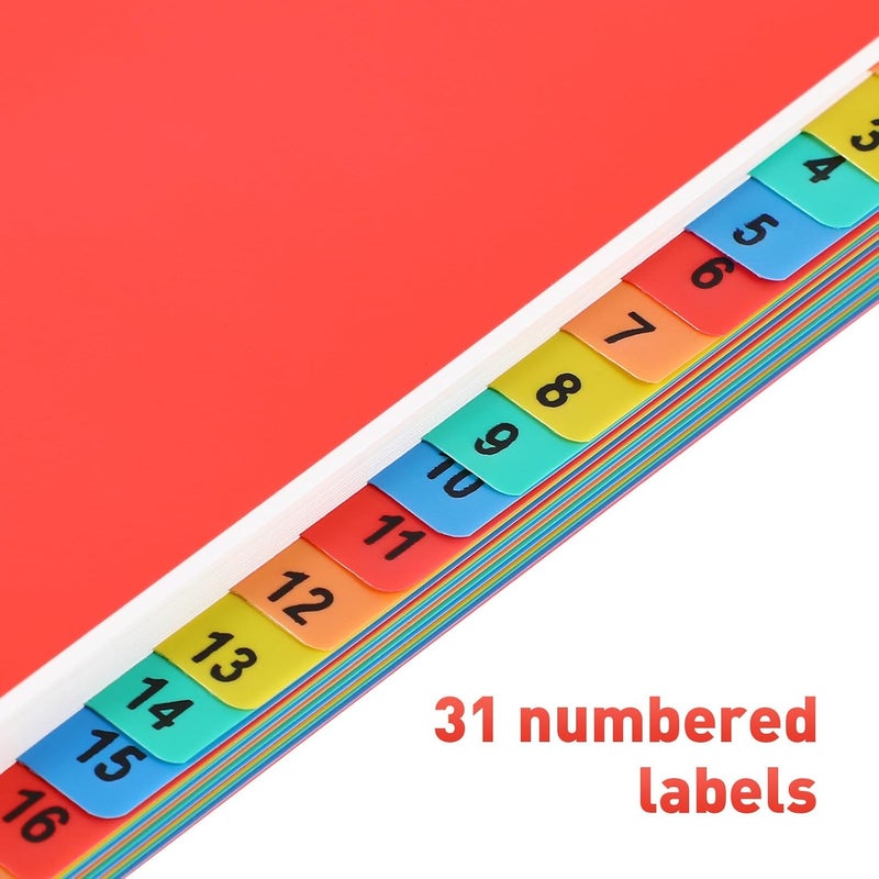 A4 Binder Dividers 31-tab Index Divider Sheets 11-Hole Plastic Subject Tabs for Document Organization Office and School Use - Image 3