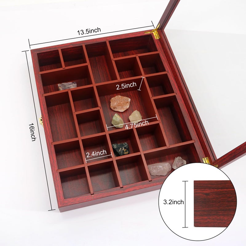 FramePro Rock Display Case - Adjustable Mineral Collection Box with Glass Lid, Wooden Cabinet for Rock, Fossil, Crystal, Seashell Collections - Geology Gift for Adults/Kids (16" x 13.5", Cherry) - Image 3