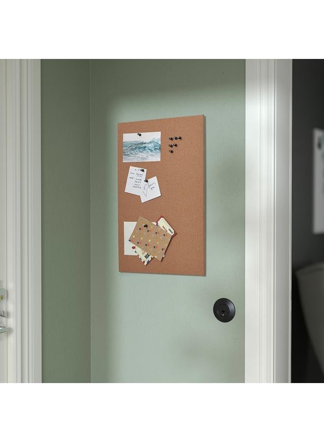 إيروريكس لوحة ملاحظات مع دبابيس، فلين، 52×33 سم - Image 4