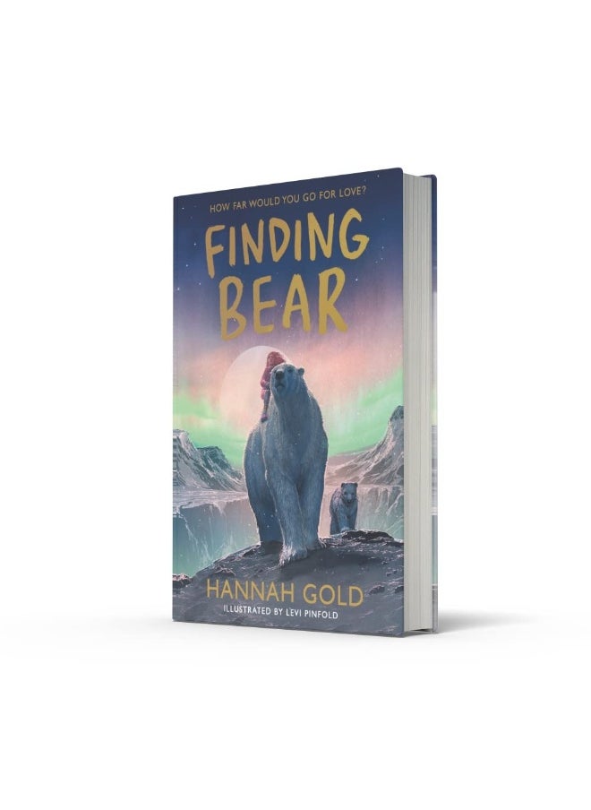 null - Finding Bear - Image 1