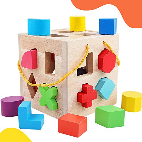 QZMTOY Shape Sorter Toys with 19 Shape Blocks, Classic Wooden Toys for Toddlers Kids, Gift for Girls Boys 2-4 (Natural Solid Wood) - Image 1
