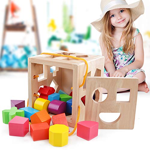 QZMTOY Shape Sorter Toys with 19 Shape Blocks, Classic Wooden Toys for Toddlers Kids, Gift for Girls Boys 2-4 (Natural Solid Wood) - Image 3