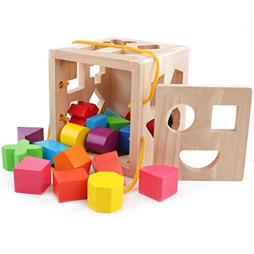 QZMTOY Shape Sorter Toys with 19 Shape Blocks, Classic Wooden Toys for Toddlers Kids, Gift for Girls Boys 2-4 (Natural Solid Wood) - Image 2