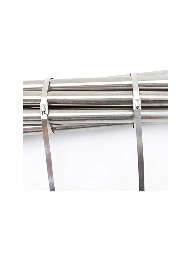 promass 100PCS 4.6 * 300mm Premium Stainless Steel Cable Ties, SS304 Stainless Steel Zip Ties, Metal Cable Ties, Exhaust Wrap Coated Locking Cable Zip Ties, 316 Marine Grade Metal Tie Wraps - Image 4