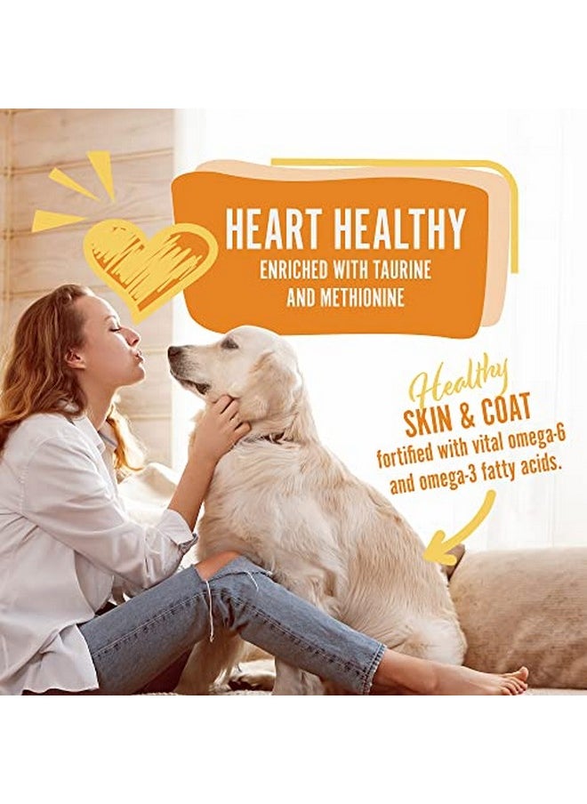 Earthborn Holistic - Great Plains Feast GrainFree Dry Dog Food | 4 Lb Bag | Bison Meal And Vegetables - Image 1