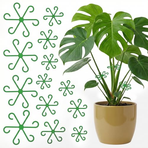 Opasyo 16PCS Plant Stem Support for Indoor Plants, Climbing Houseplant Stem Supports, 4 Sizes Reusable Clips for Monstera, Orchid & Pothos, Climbing Stem Holders (Green) - Image 1