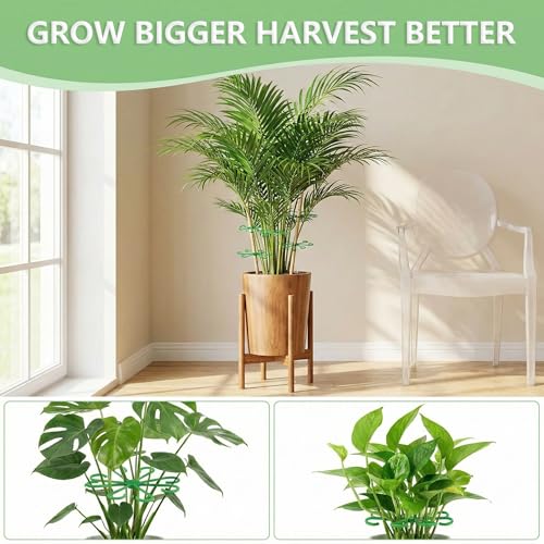Opasyo 16PCS Plant Stem Support for Indoor Plants, Climbing Houseplant Stem Supports, 4 Sizes Reusable Clips for Monstera, Orchid & Pothos, Climbing Stem Holders (Green) - Image 4