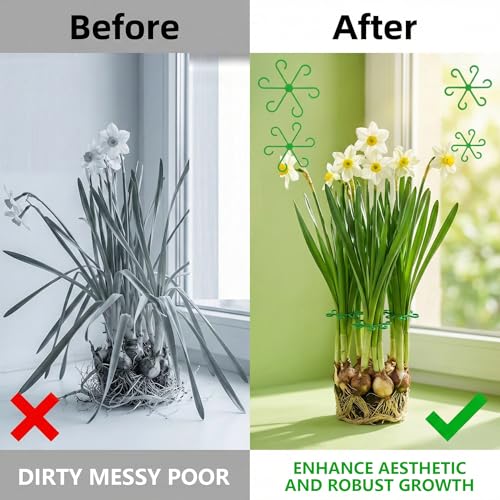 Opasyo 16PCS Plant Stem Support for Indoor Plants, Climbing Houseplant Stem Supports, 4 Sizes Reusable Clips for Monstera, Orchid & Pothos, Climbing Stem Holders (Green) - Image 5