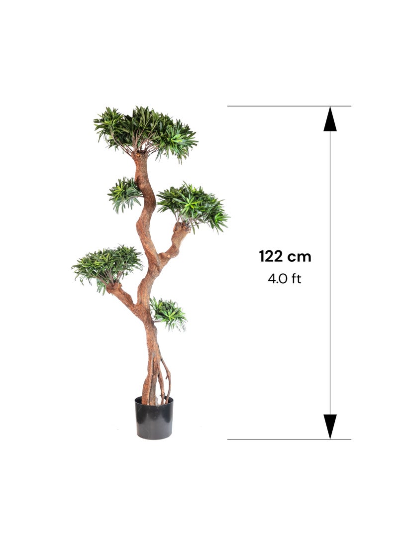 Gulf Flowers Gulf Flowers Artificial Podocarpus Tree – 122cm Tall Faux Tree with 4080 Leaves & Real Trunk – Realistic Green Indoor Plant for Home, Office, Hotel & Event Decoration  - Image 2