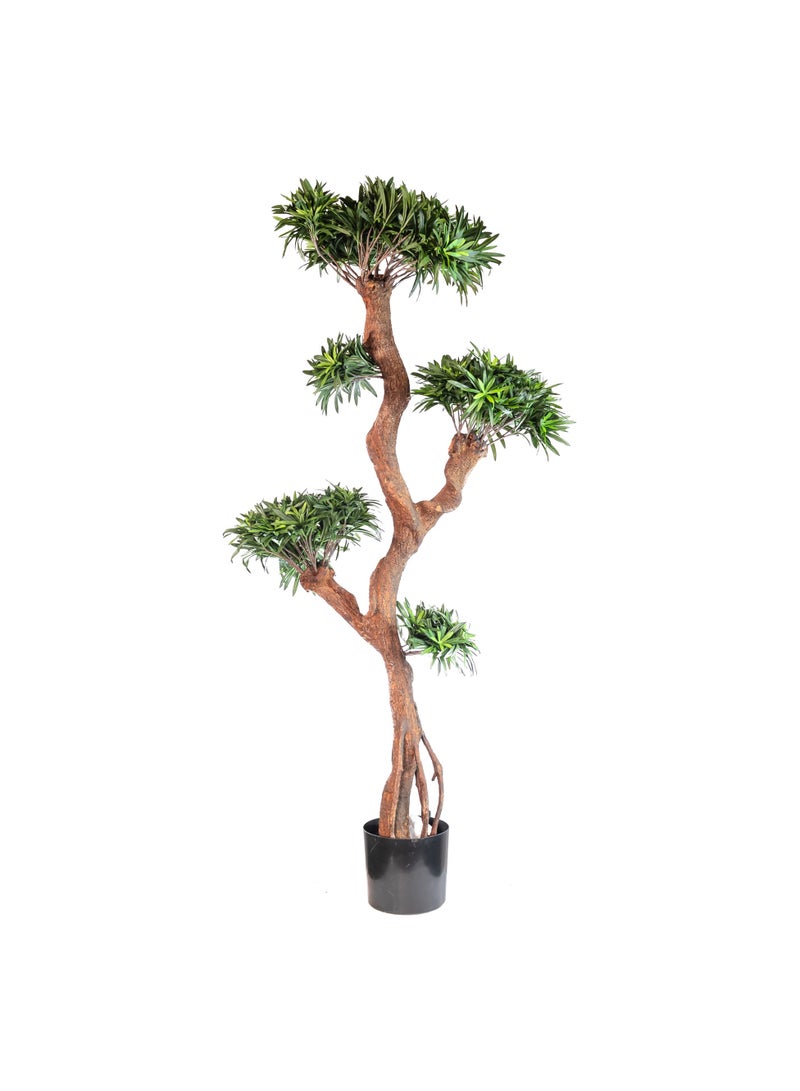 Gulf Flowers Gulf Flowers Artificial Podocarpus Tree – 122cm Tall Faux Tree with 4080 Leaves & Real Trunk – Realistic Green Indoor Plant for Home, Office, Hotel & Event Decoration  - Image 1