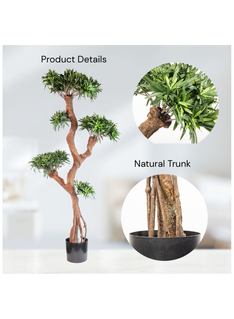 Gulf Flowers Gulf Flowers Artificial Podocarpus Tree – 122cm Tall Faux Tree with 4080 Leaves & Real Trunk – Realistic Green Indoor Plant for Home, Office, Hotel & Event Decoration  - Image 3