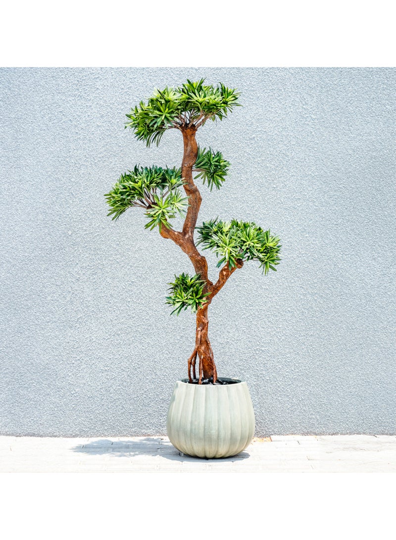 Gulf Flowers Gulf Flowers Artificial Podocarpus Tree – 122cm Tall Faux Tree with 4080 Leaves & Real Trunk – Realistic Green Indoor Plant for Home, Office, Hotel & Event Decoration  - Image 4