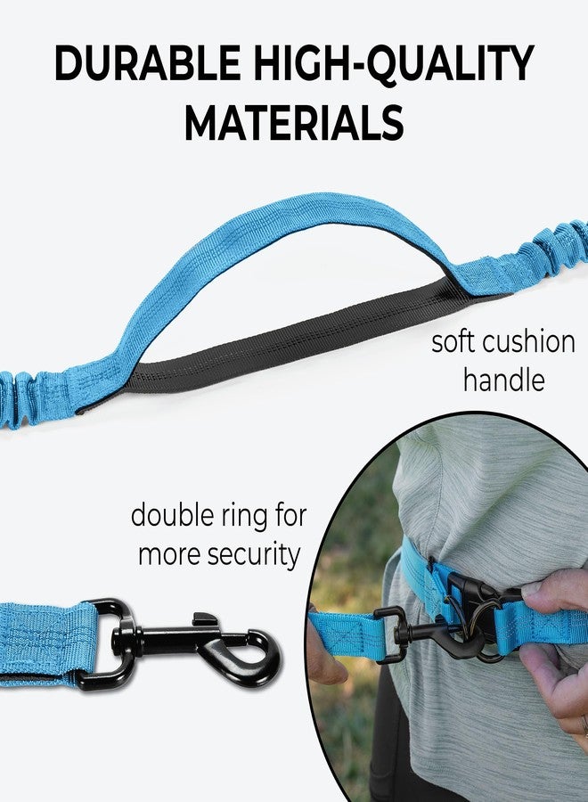 Squirrel Products Hands Free Dog Leash with Hip Belt/Crossbody Strap, Zipper Pouch, and Shock Absorbing Bungee for Walking or Jogging with pet (Blue, Black) - Image 5