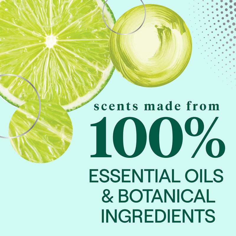 Seventh Generation Dish Soap Fresh Lime & Ginger Scent 1 count Dishwashing Soap Dish Detergent Liquid Soap 19 oz - Image 3