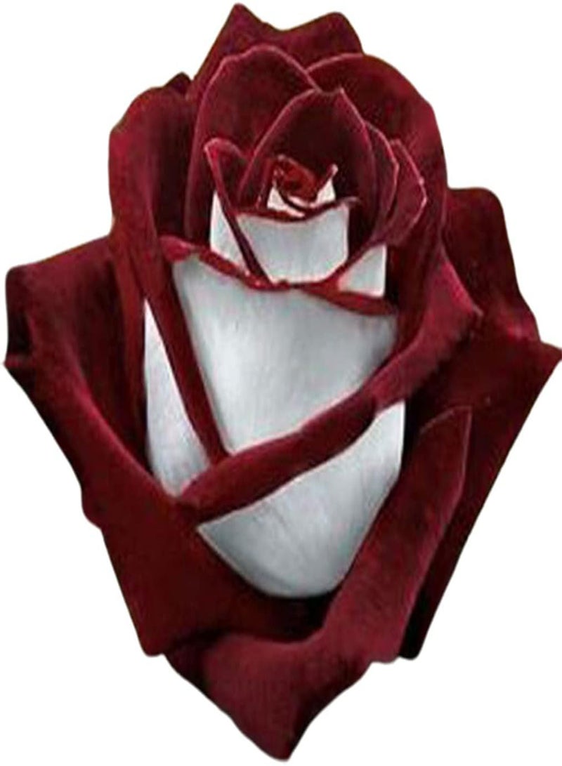 جي جوت بذور زهرة الورد، أزهار جميلة متعددة الألوان لزراعة بذور حديقة المنزل، عبوة من 10 بذور (ياقوت) - Image 1