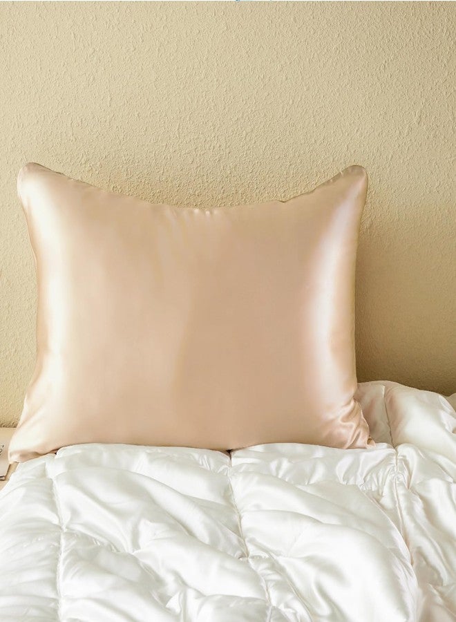 PROMEED Hyaluronic Acid Silk Pillowcase 100% Mulberry, Ultra-Hydrating 23 Momme Silk Pillow Case for Hair and Skin, Grade 6A+, Lock in Moisture Overnight (Champagne, Standard-20 x26) - Image 1