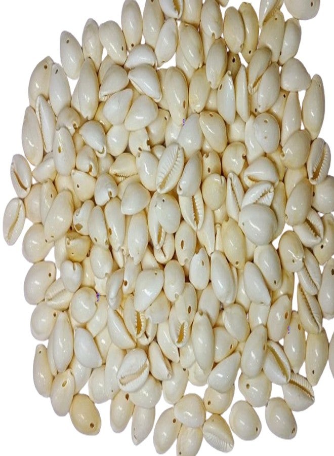 GOONMALA Natural Sea Shell/Cowrie/Kowri/Kodi for Craft, Jewellery, Bracelet, Rakhi, Embroidery Work Grey & White Colour 18mm 100 pc Each (24mm) - Image 1