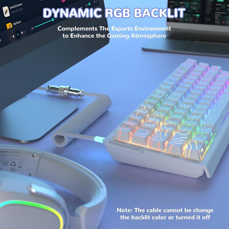 MAMBASNAKE كابل USB-C ملفوف من للوحة المفاتيح المخصصة للألعاب مع إضاءة RGB، مضفر من النايلون مع موصل طيار معدني ذو 4 دبابيس قابل للفصل، نوع C فائق السرعة مع معدل إرجاع 8 كيلوهرتز، طول 4.92 قدم (C01 ULTIMATE/أبيض) - Image 2