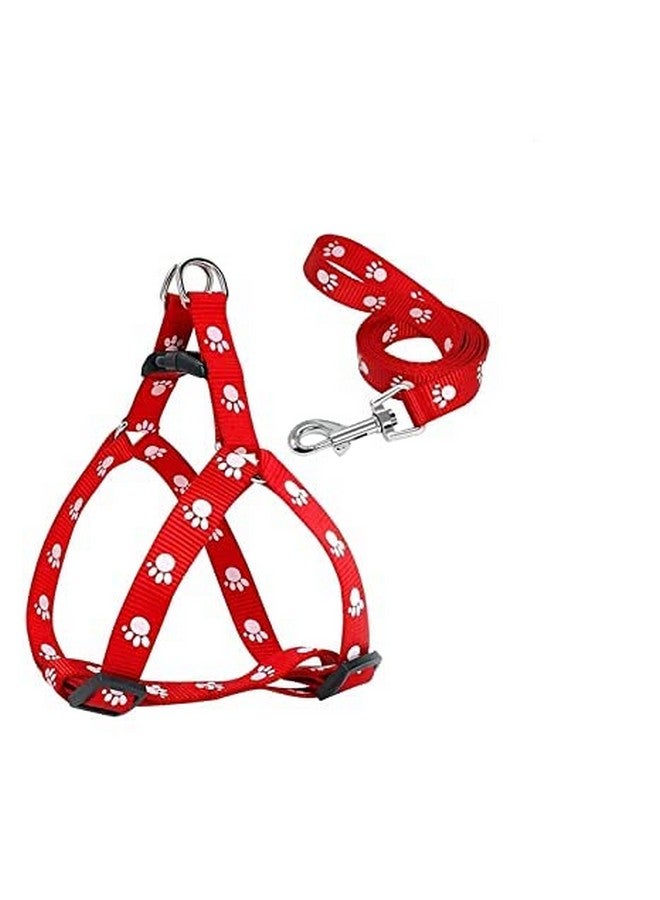 مقود قابل للتعديل مع مجموعة حزام من النايلون مطبوع عليه مخالب للجراء من جميع سلالات الكلاب والقطط والجراء (اللون حسب التوافر) - Image 2