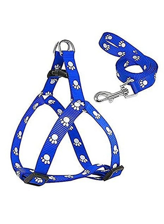 مقود قابل للتعديل مع مجموعة حزام من النايلون مطبوع عليه مخالب للجراء من جميع سلالات الكلاب والقطط والجراء (اللون حسب التوافر) - Image 3