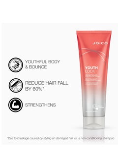 Joico YouthLock Shampoo & Conditioner Set Formulated with Collagen | Youthful Body & Bounce | Reduce Breakage & Frizz | Free of SLS/SLES Sulfates - pzsku/ZD58C20ED445C759D2FDCZ/45/_/1739534284/aefbb7b2-a34b-449f-a75f-410cfc5fdfcb