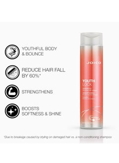 Joico YouthLock Shampoo & Conditioner Set Formulated with Collagen | Youthful Body & Bounce | Reduce Breakage & Frizz | Free of SLS/SLES Sulfates - pzsku/ZD58C20ED445C759D2FDCZ/45/_/1739534293/f09c93a7-470c-428a-a46c-3225dfcd67c7