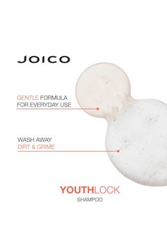 Joico YouthLock Shampoo & Conditioner Set Formulated with Collagen | Youthful Body & Bounce | Reduce Breakage & Frizz | Free of SLS/SLES Sulfates - pzsku/ZD58C20ED445C759D2FDCZ/45/_/1739534303/85563cc7-2169-4fa9-8b44-5775c0a4a7f1