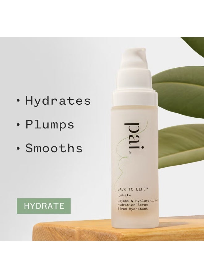 Pai Skincare Back to Life Jojoba and Hyaluronic Acid Hydration Serum 30ml - Image 4