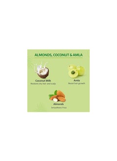 Nyle Nyle Naturals Anti Hairfall Shampoo With Coconut Milk Badam and Amla Gentle Soft Shampoo pH Balanced and Paraben Free For Men and Women  - Image 3