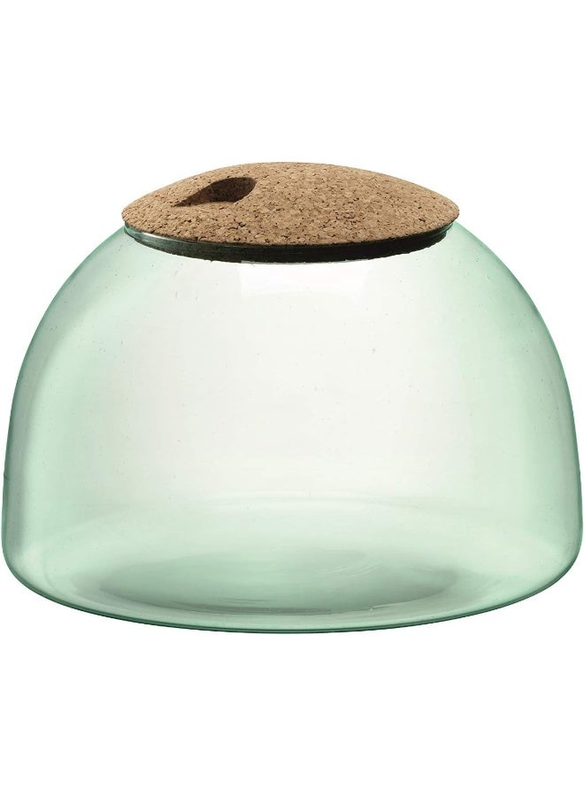 LSA High Quality Canopy Recycled Closed Garden Terrarium Size: H16.5cmxW24cm, Made in Poland - Image 1