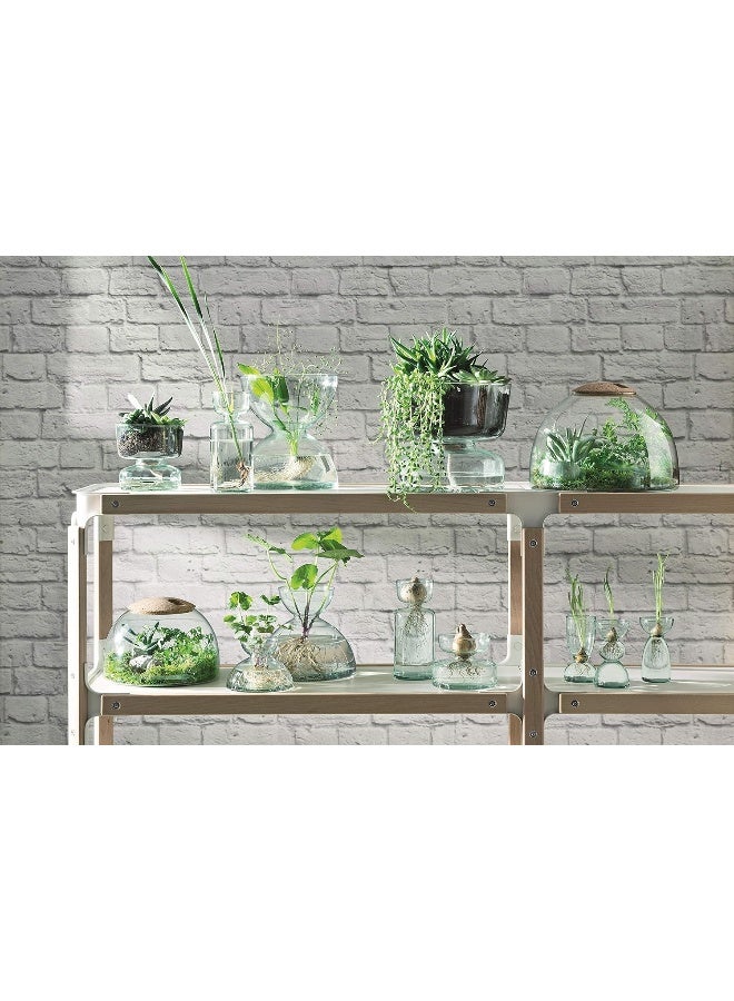 LSA High Quality Canopy Recycled Closed Garden Terrarium Size: H16.5cmxW24cm, Made in Poland - Image 3