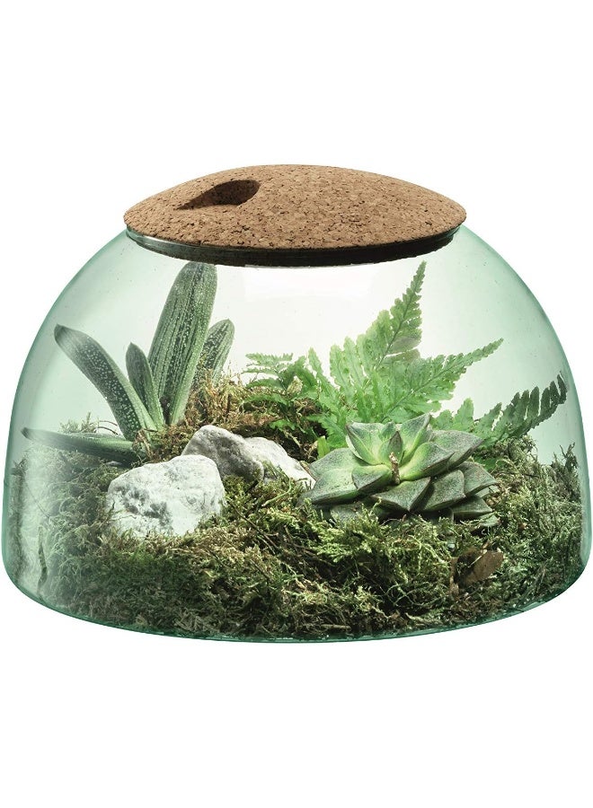 LSA High Quality Canopy Recycled Closed Garden Terrarium Size: H16.5cmxW24cm, Made in Poland - Image 2