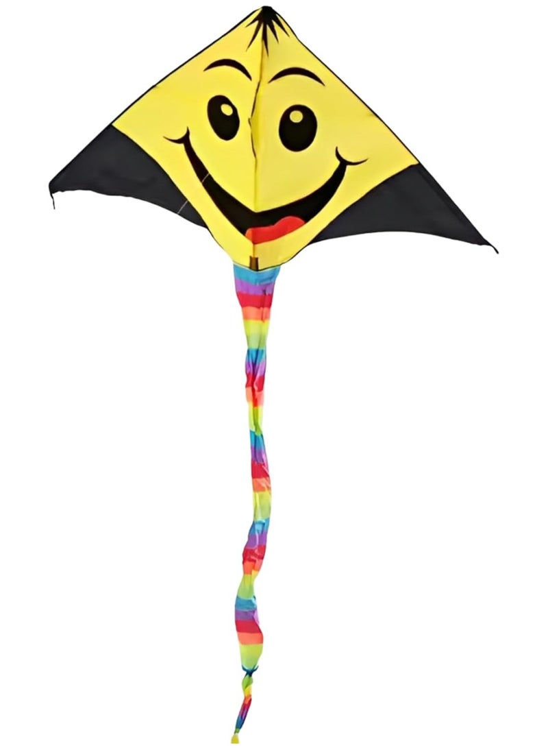 معاني طائرة ورقية شاطئية من مانيس للأطفال، لعبة طائرة كبيرة مقاس 160×85 سم، ألعاب شاطئية للأولاد والبنات، طائرة ورقية سهلة الطيران بخط واحد مع مقبض، متعة خارجية لجميع الأعمار - Image 1