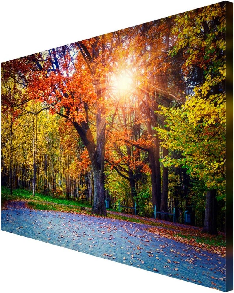 999Store Printed Sun Shining Through The Yellow Leaves Tree Painting Wall Art (Canvas_36X24 Inches_Multi) - Image 3