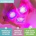 Glo Pals x Sesame Street WaterActivated LightUp Cubes Bundle for Sensory Play 12 Packs Easy as ABC - Image 4
