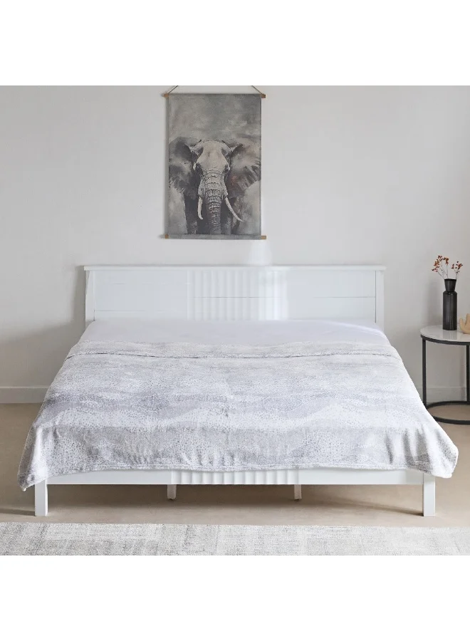 Home Box Matrix Remi Printed Flannel Queen Blanket 220 x 200 cm