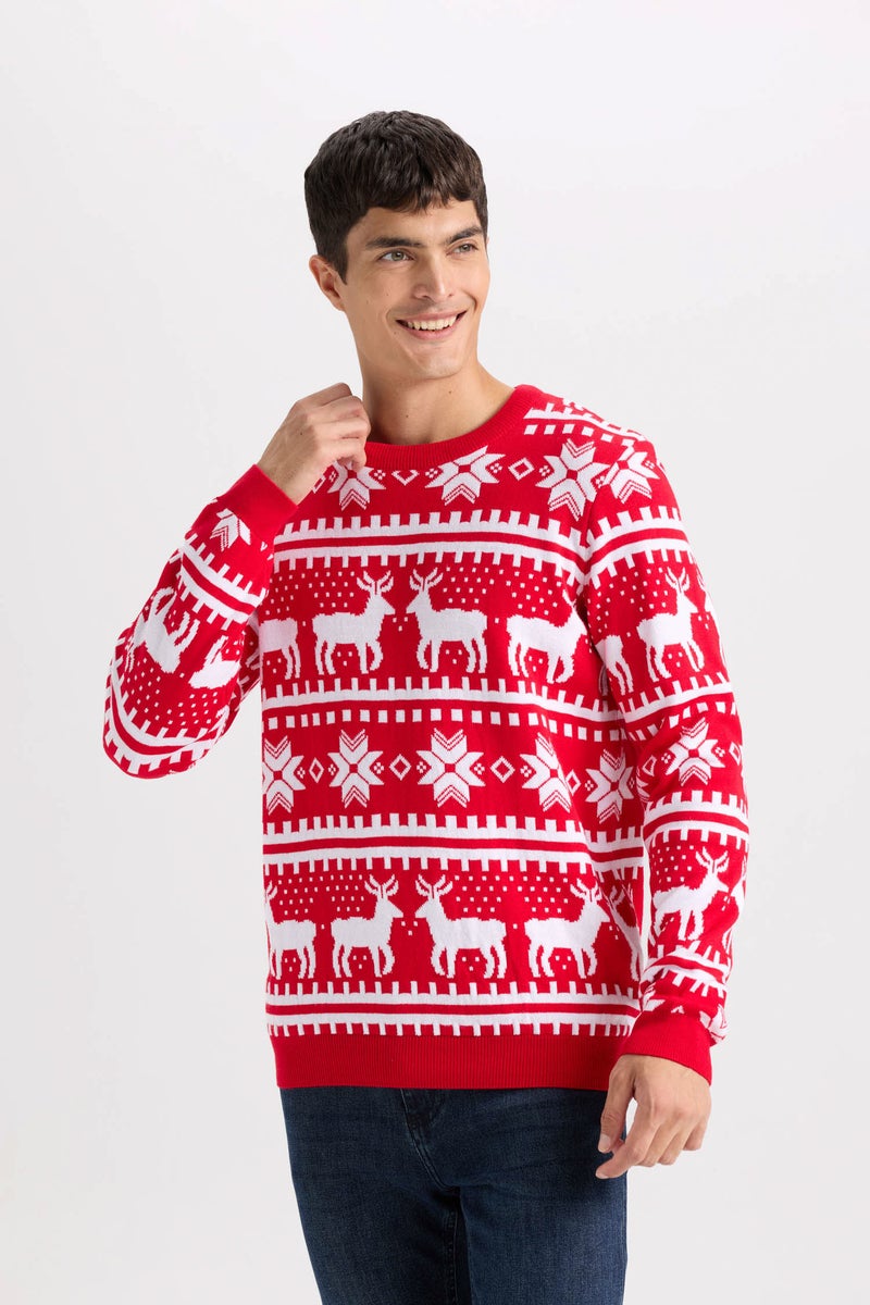 DeFacto Man Standard Fit Crew Neck Knitted Pullover  - Image 5