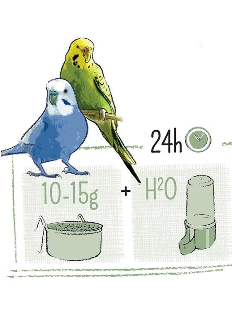 Witte Molen Puur Budgie Bird Food 2KG - Image 3