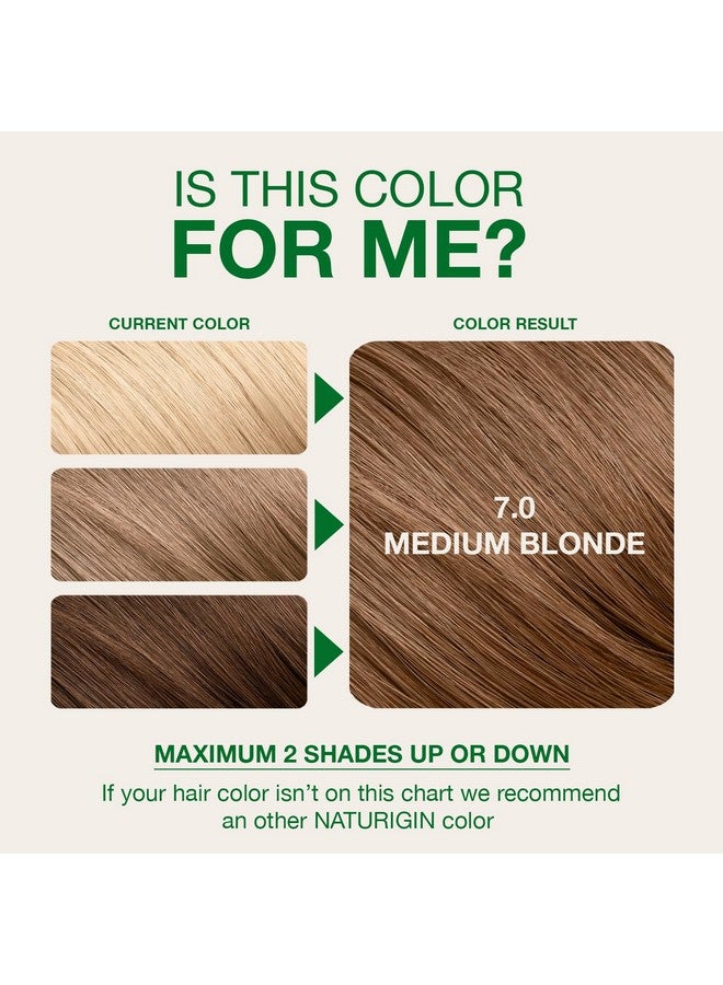 Naturigin Permanent Hair Dye, 7.0 Natural Medium Blonde, Ammonia and Paraben Free, up to 100% Gray Hair Coverage, Long Lasting, Vegan, Cruelty Free - Image 2