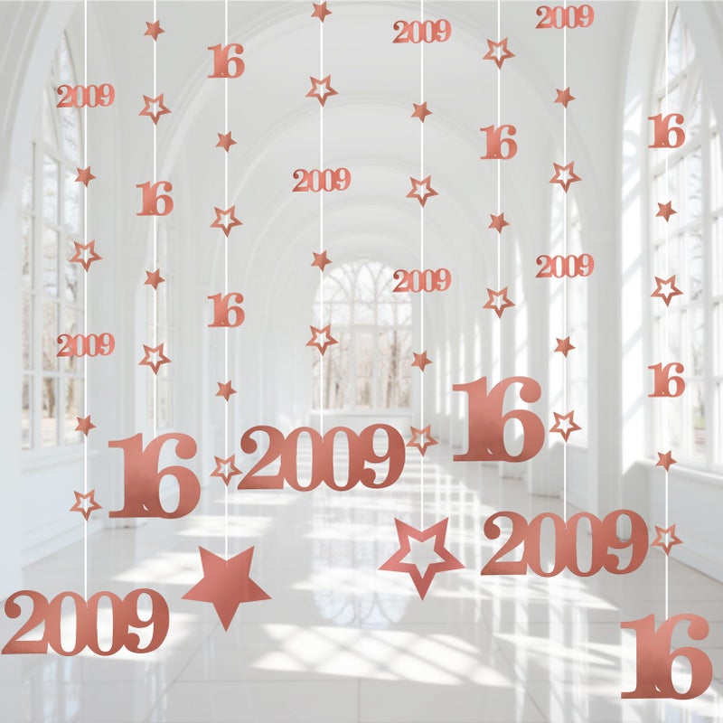 Eucutur Pink Rose Gold Sweet 16 Party Decorations For Girls  Pre-Strung Glitter Twinkle Number 2009 16 Years Old Hanging Streamer Banner Party Supplies  Pink Happy 16Th Bday Sweet Sixteen Gifts Decor - Image 1