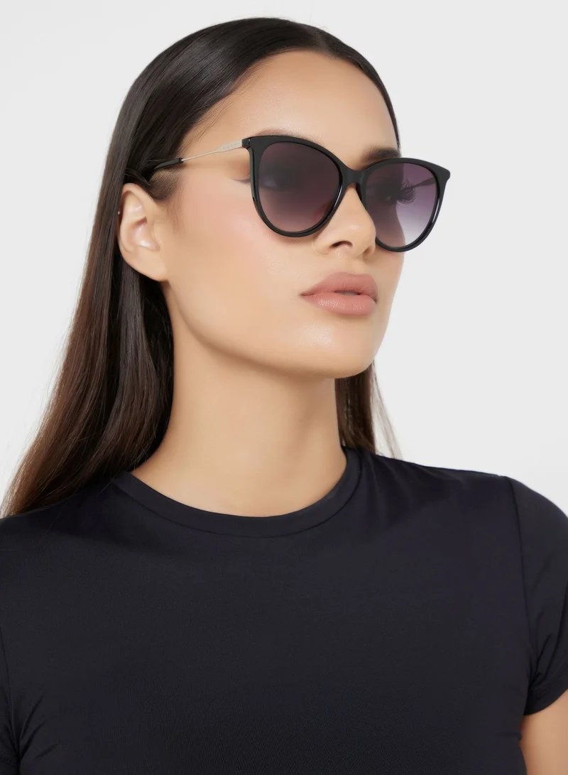 Longchamp Wayfarer Sunglasses