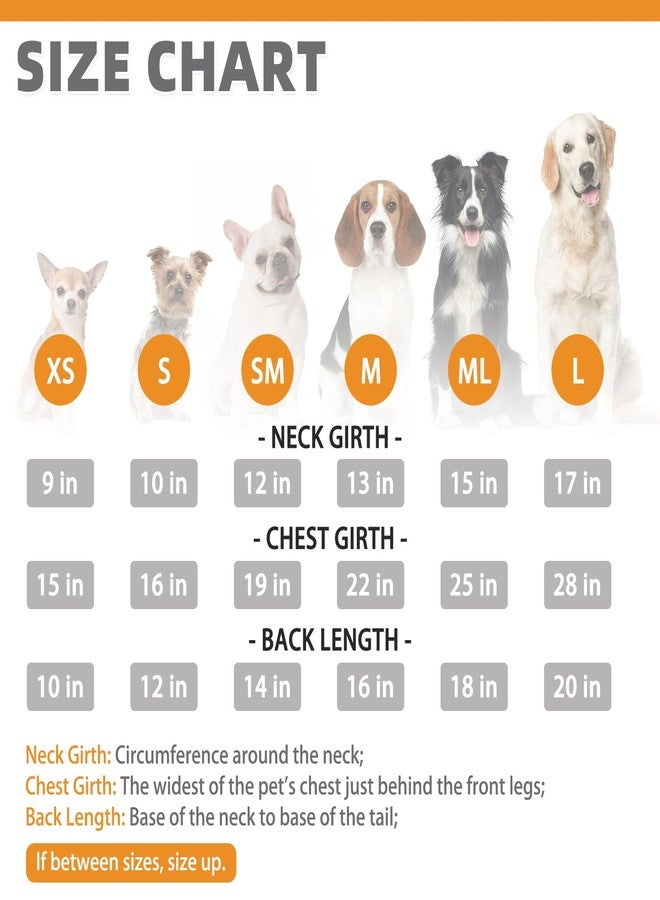 كولتيل كنزة عيد الميلاد للكلاب من كولتيل - كنزة كلاسيكية منقوشة برقبة عالية مع فتحة للربط، ملابس شتوية دافئة للكلاب الصغيرة والمتوسطة الحجم، مناسبة للقطط والجراء الذكور والإناث، باللونين الأحمر والأخضر، مقاس متوسط. - Image 2