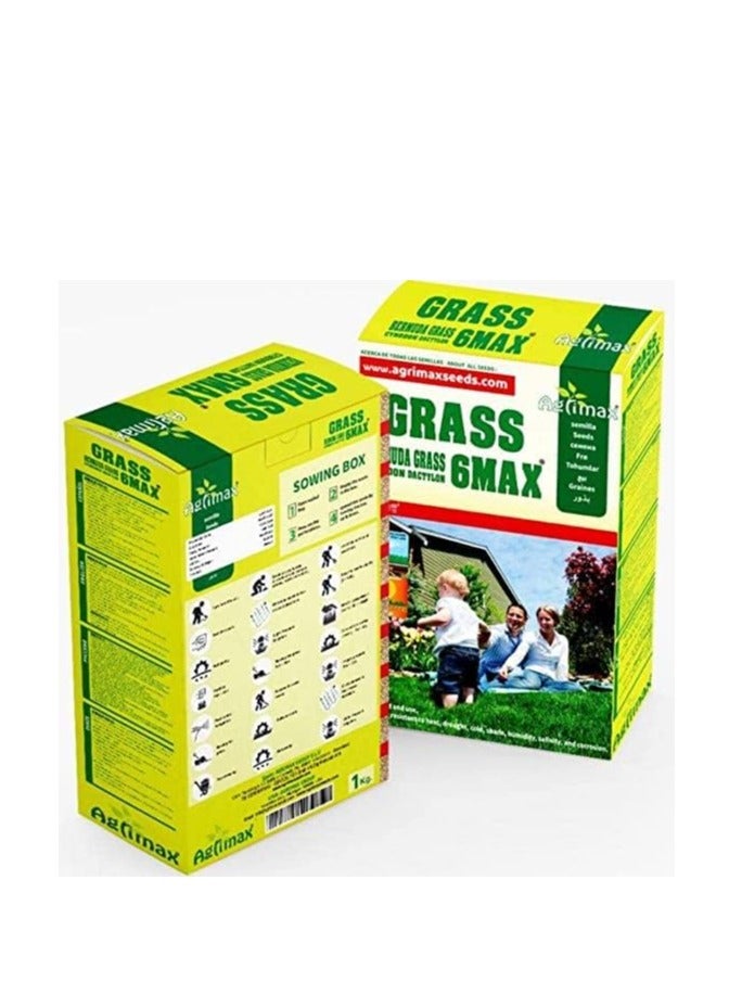 Generic Bermuda Grass 6Max Seeds “Cynodon Dactylon” 1kg By "Agrimaxgroup"  - Image 1