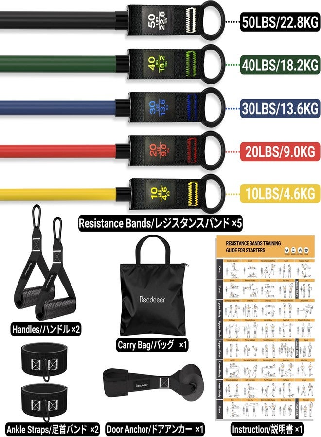 Readaeer Resistance Bands Set with Handles, 150 Lb Strength Training Kit, 12 Elastic Yoga Bands Gym Bands with Workout Poster, Door Anchor and Ankle Straps, - Image 2