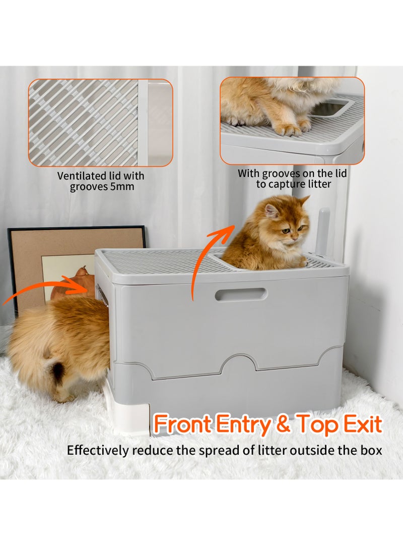 Wisfor Cat Litter Box: Large Foldable Litter Box with Lid Kitty Potty Top Entry Type Anti-Splashing Persian Kitty Litter Box with Cat Litter Scoop