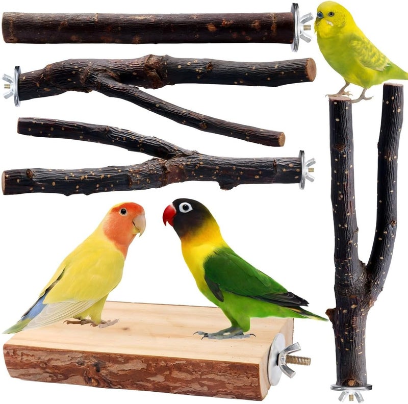 BBjinronjy Bird Toy, Parakeet Perch, Budgie Perch, Wooden Stand, Fork Toy, Multi-Branch Perch, Platform Toy for Small Parakeets, Cockatiels, Parrots, Oz - Image 1