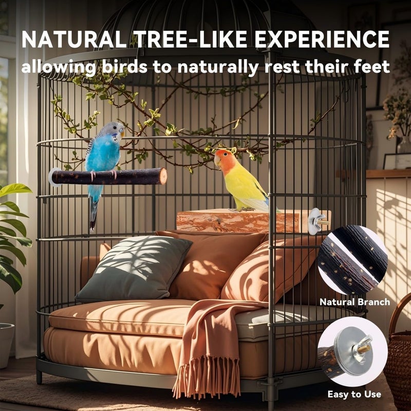 BBjinronjy Bird Toy, Parakeet Perch, Budgie Perch, Wooden Stand, Fork Toy, Multi-Branch Perch, Platform Toy for Small Parakeets, Cockatiels, Parrots, Oz - Image 3