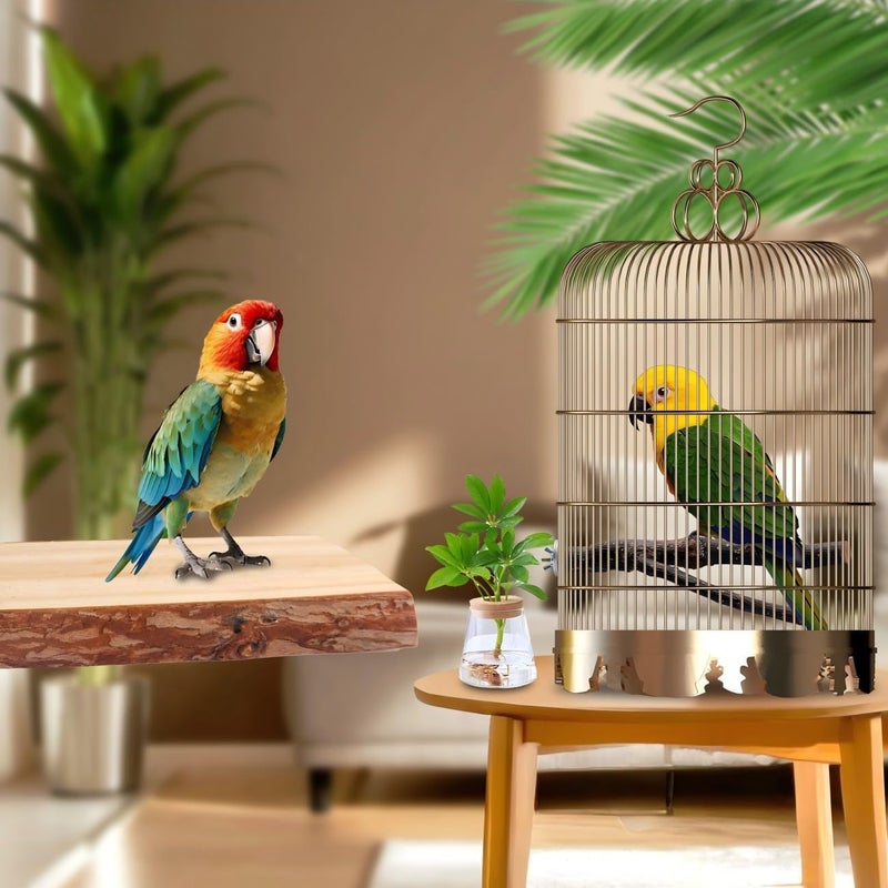 BBjinronjy Bird Toy, Parakeet Perch, Budgie Perch, Wooden Stand, Fork Toy, Multi-Branch Perch, Platform Toy for Small Parakeets, Cockatiels, Parrots, Oz - Image 5