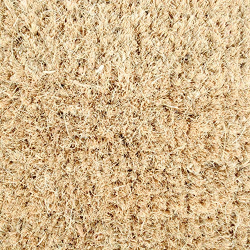 DII مجموعة حصائر باب عيد الميلاد الخارجية من DII، حصيرة عيد الميلاد الزخرفية، ديكور الشرفة الأمامية، 17x29، أشجار مبهجة - Image 5